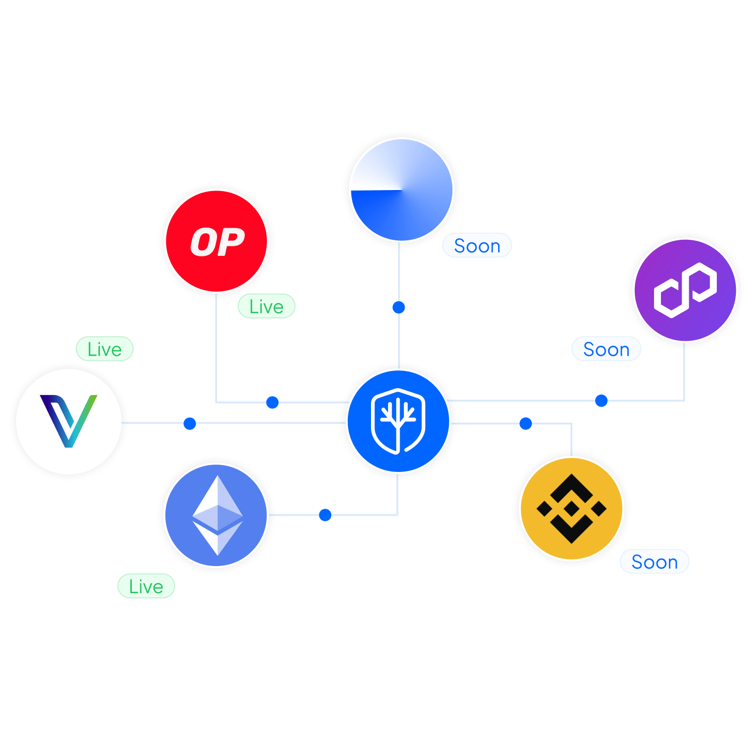 Multichain-opslag voor je versleutelde data shares